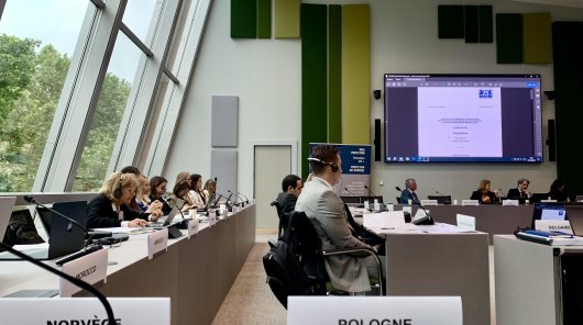 Zdjęcie przedstawiające 46. posiedzenie plenarne Komitetu Konwencji nr 108 Rady Europy o ochronie osób w związku z automatycznym przetwarzaniem danych osobowych (Komitet T-PD), w którym udział wzięła Maria Owczarek, Zastępczyni Dyrektora Departamentu Współpracy Międzynarodowej i Edukacji UODO